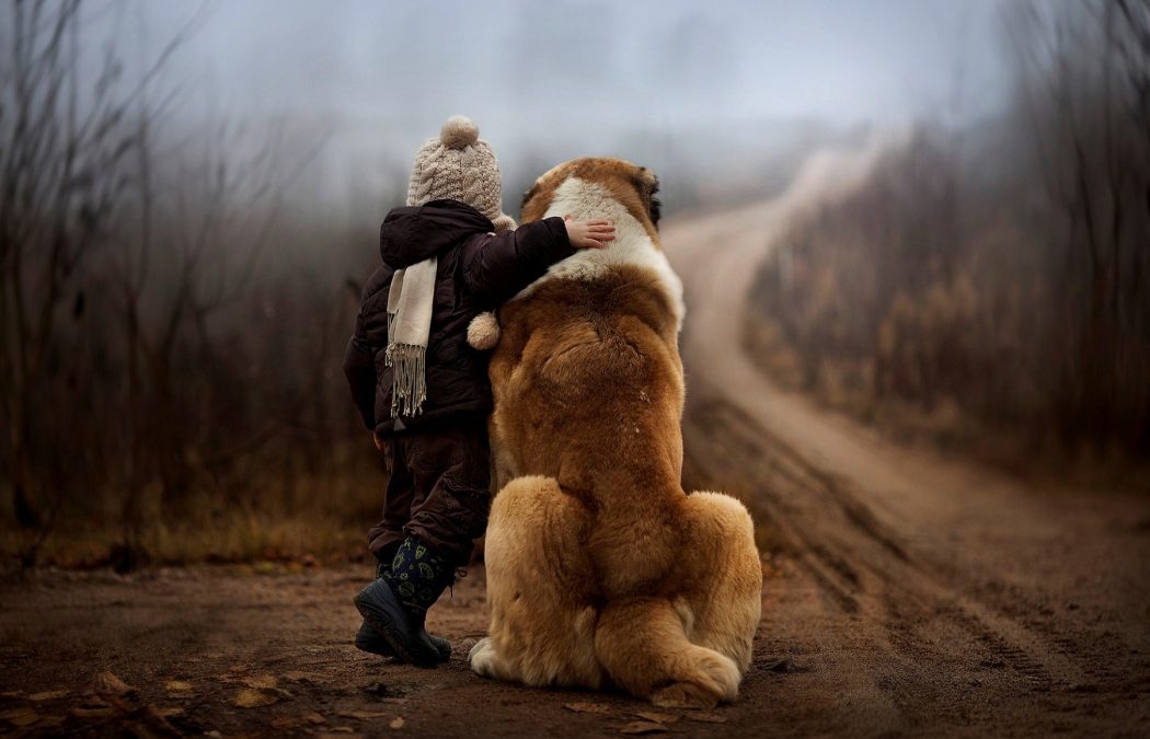 Les besoins du chien : 3 piliers fondamentaux