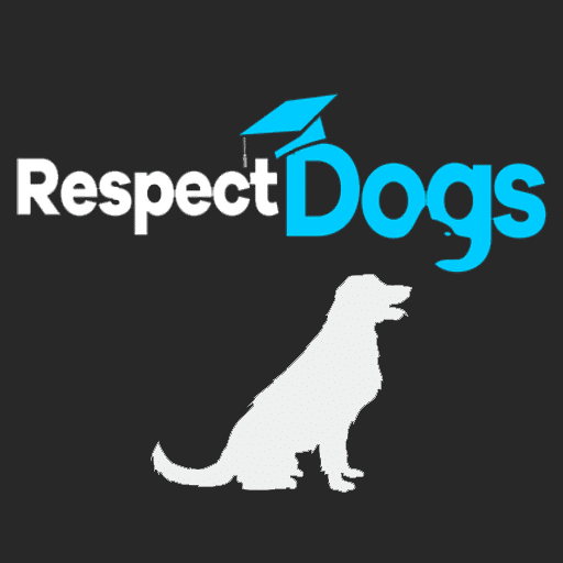 Educateur canin Respectdogs Lisieux
