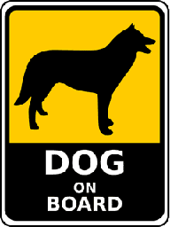la legislation avec un chien en voiture avec les conseils de respectdogs, éducateur canin comportementaliste sur rouen et les environs