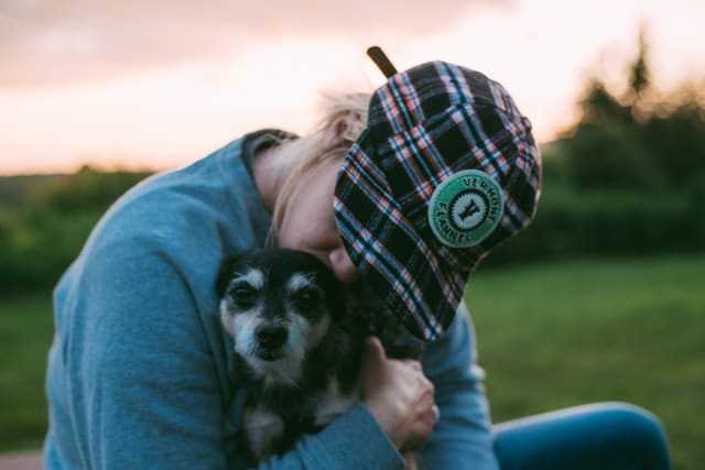 que faire avec un ostéopathe canin