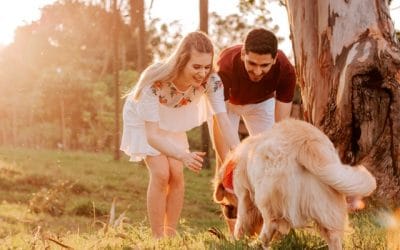 Pourquoi faire appel à un comportementaliste canin ?