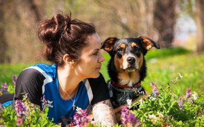 Comment trouver un bon comportementaliste canin ? 10 conseils pour trouver un comportementaliste canin professionnel et compétent.