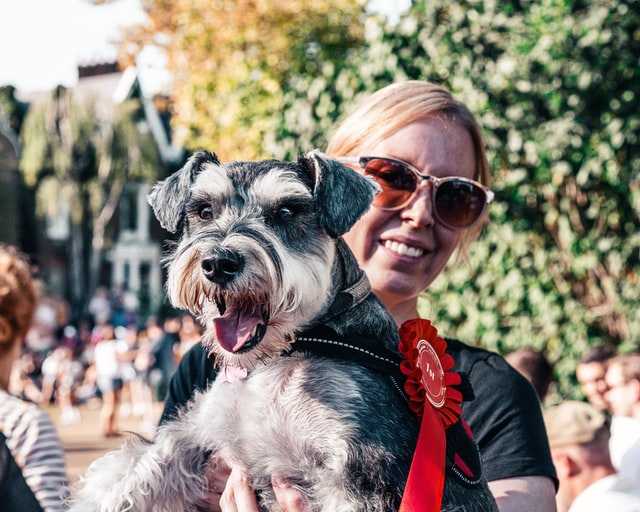 exposition canine rouen 2024