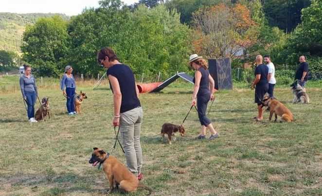 cours collectif education canine Arcachon