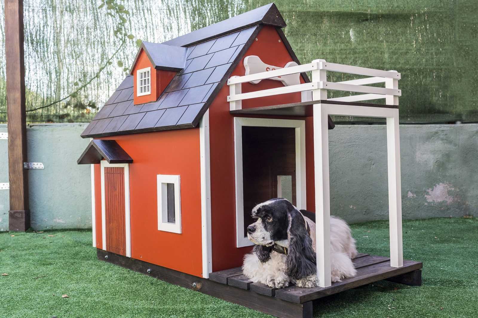 kenngarderie-chien-bordeauxels-for-pets-3821866_1920 Chien dans sa niche