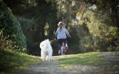 Mon chien court après les vélos : 5 étapes pour qu’il arrête
