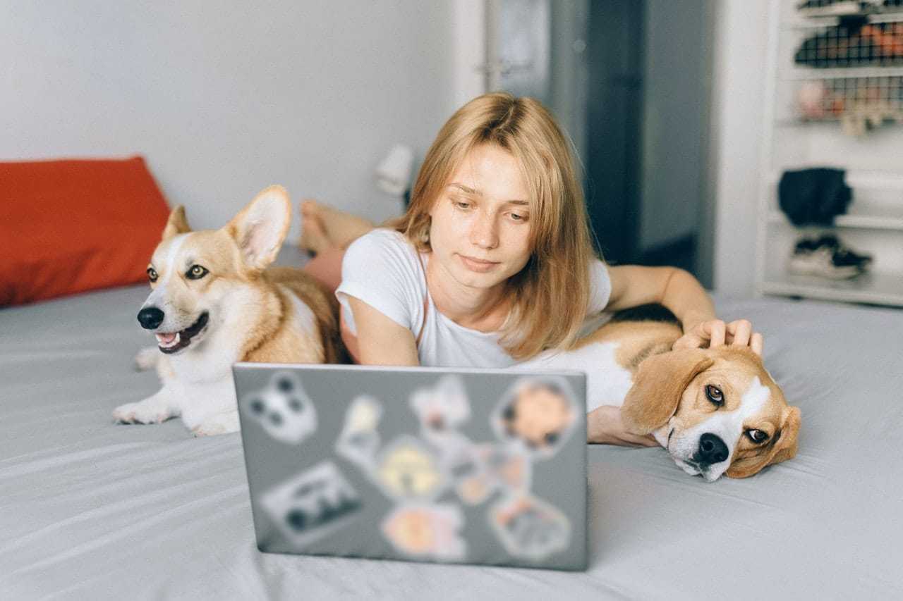 formations éducateur canin en ligne