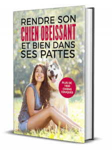 Socialisation chien : Comment aider un chien qui a loupé sa période de socialisation ? cover ebook education canine 1