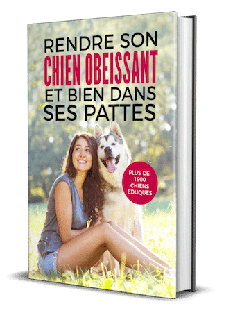 cover-ebook-education-canine