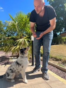 educateur canin Tours