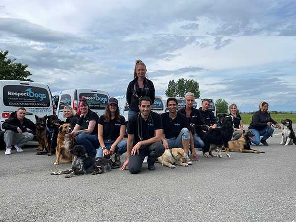 equipe canine respect dogs