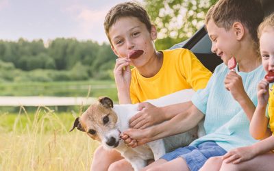 Morsures de chiens et enfants : comment assurer une cohabitation harmonieuse et sécuritaire en 7 conseils