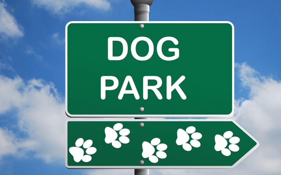 Parcs à chien Lyon : 9 meilleurs endroits pour promener votre chien à Lyon