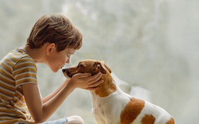 Le Chien de Soutien Emotionnel : 5 aides qu’un chien peut t’apporter.