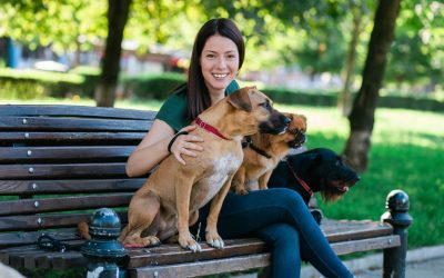 Pension chien Cherbourg : Les 2 adresses de confiance