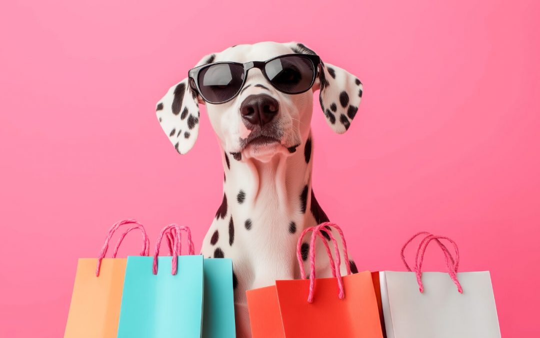🛍️ Magasin chien Lyon : 5 adresses pour trouver tout le nécessaire