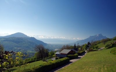 3 lieux parfaits pour promener son chien à Cognin