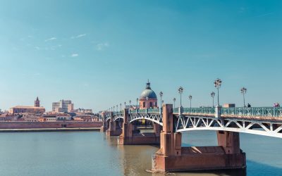 Top 5 des lieux pour promener son chien à Toulouse