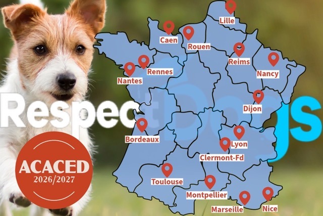 ACACED en ligne