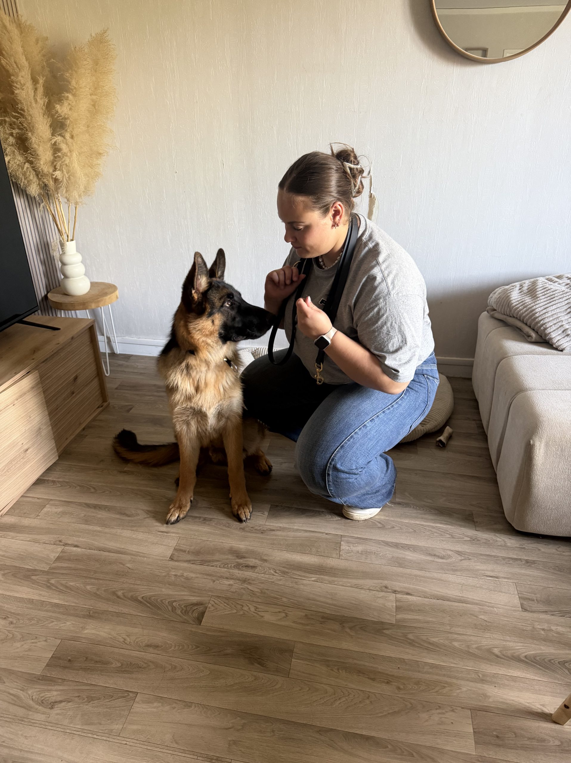 Comportementaliste canin Marseille