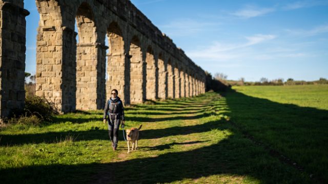 aqueduc du Gier avec son chien