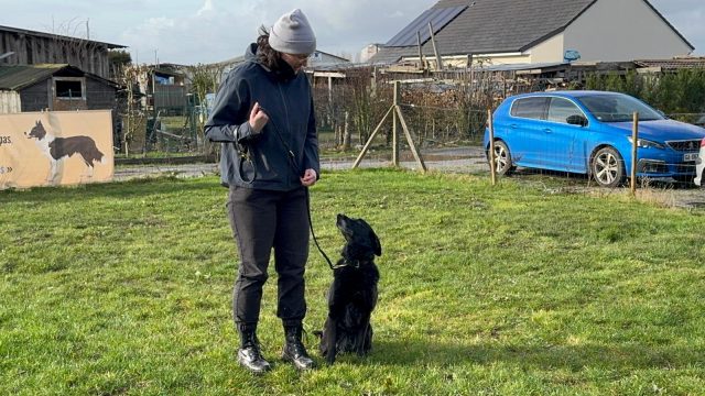 Léa en séance d'éducation canine près de Châteaubriant