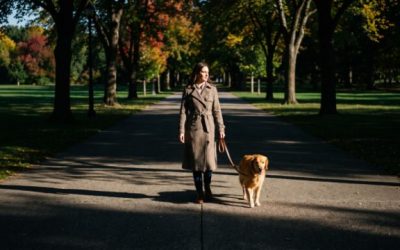 Le parc de Lacroix-Laval avec son chien