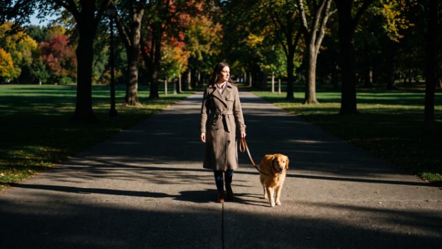 Le parc de Lacroix-Laval avec son chien