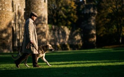 Promener son chien à Châteaubriant : parcs, voies vertes, règles