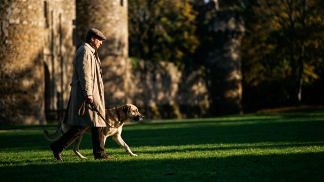 promener son chien à Châteaubriant