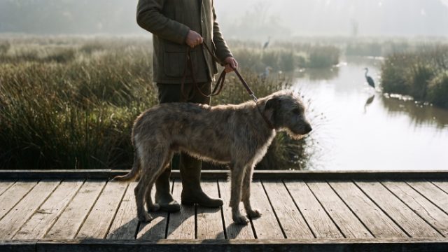 Promener son chien au nord de Nantes : Erdre, canal et Loire