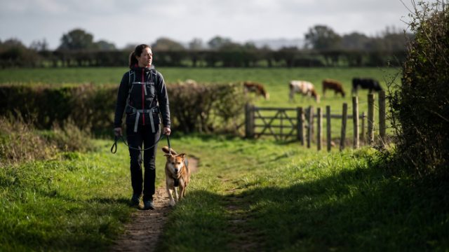 Randonnée avec son chien autour de Châteaubriant : sentiers