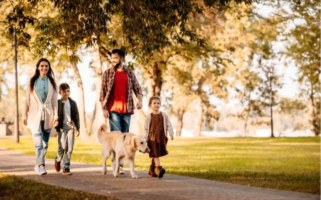 Promener son chien à Grenoble