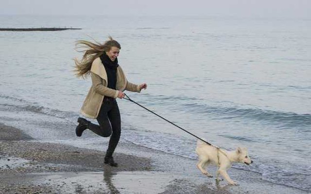 Promener son chien au Havre