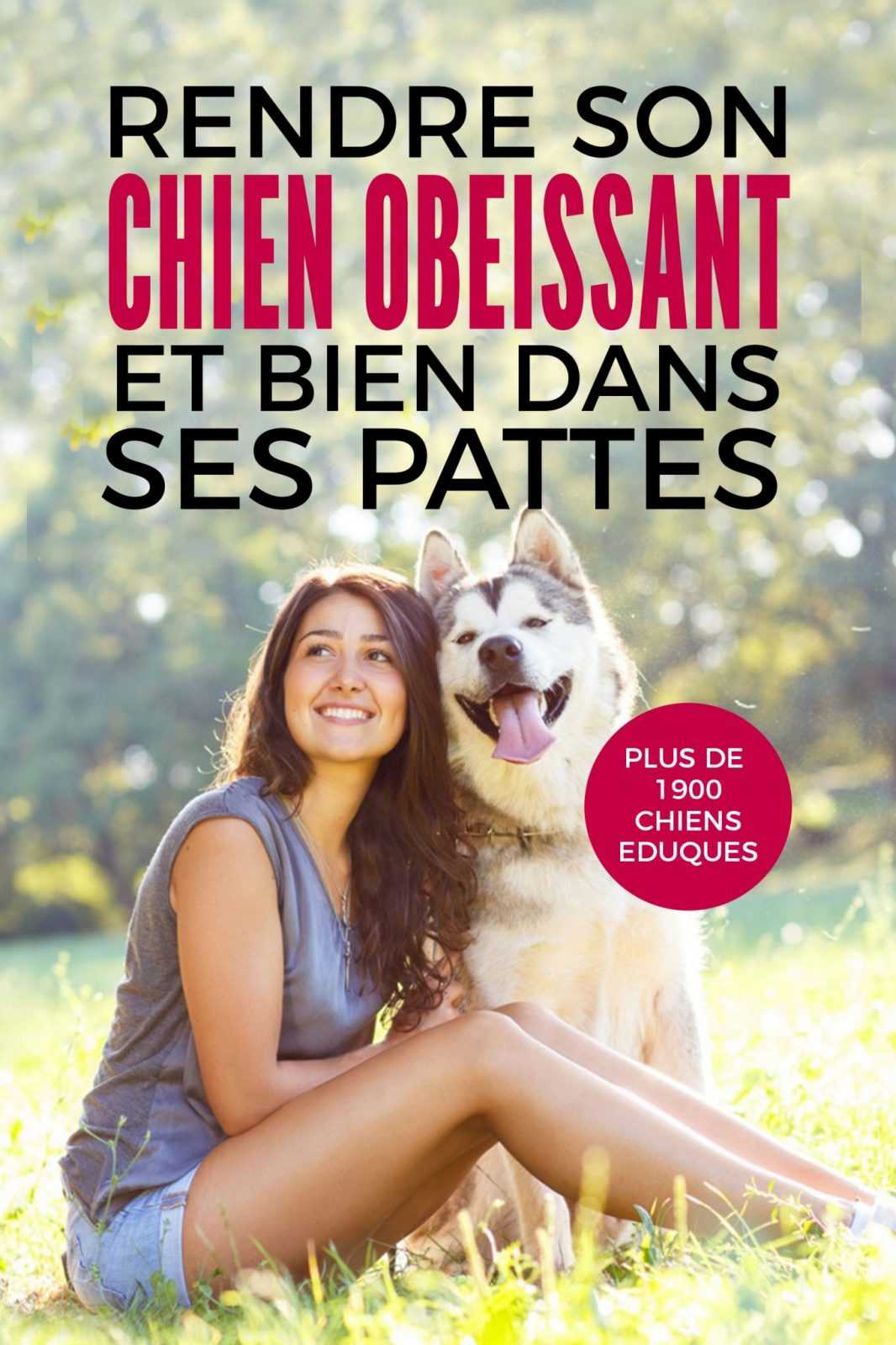 avoir un chien obéissant et bien dans ses pattes grâce aux conseils des éducateur canin respectdogs