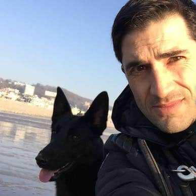 educateur canin comportementaliste 27 normandie