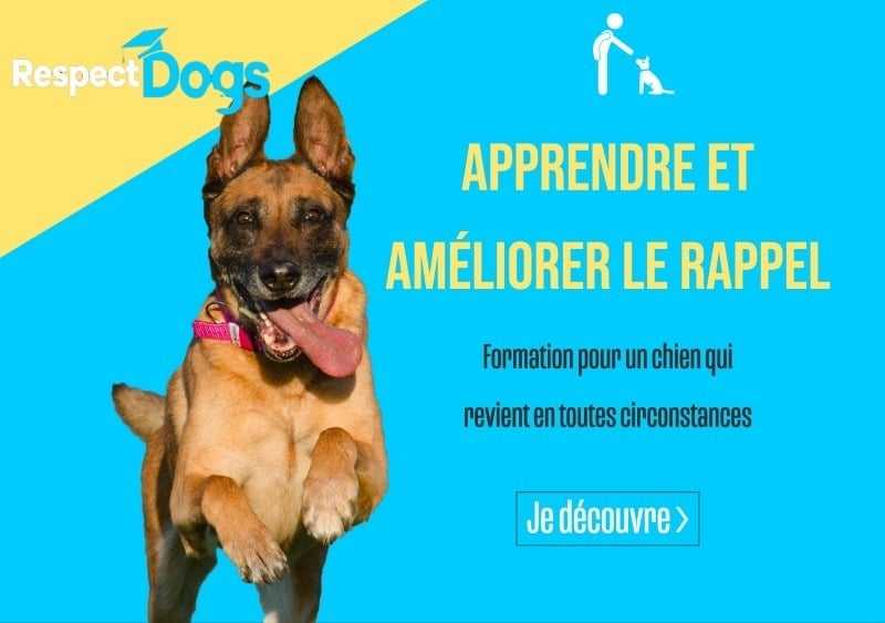 rappel