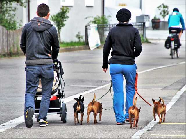 marche au pied