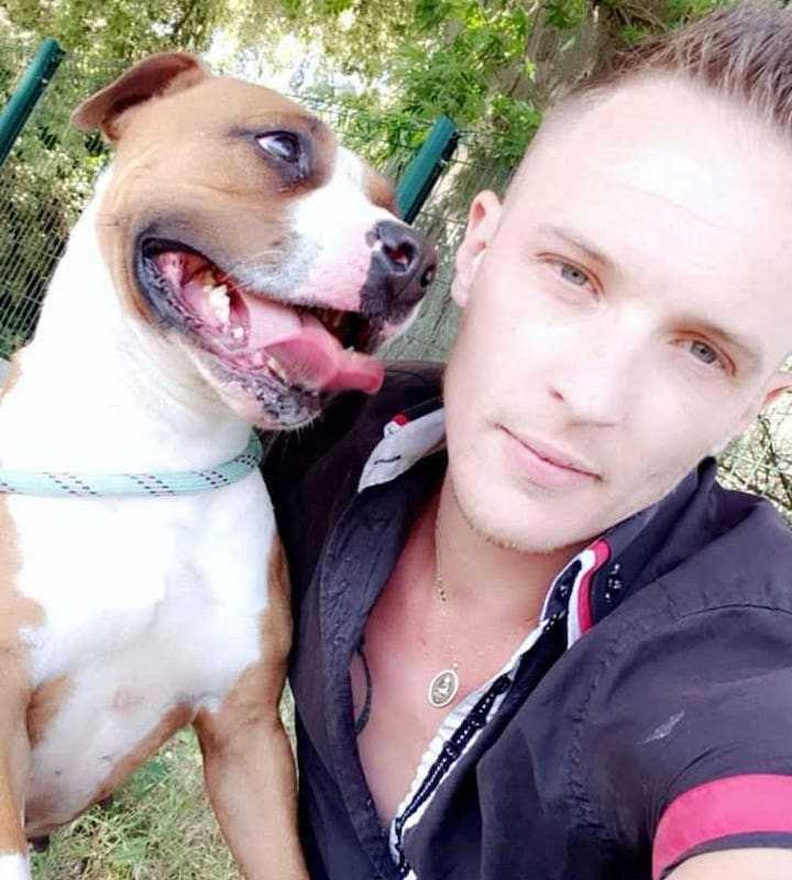 educateur canin 14 calvados