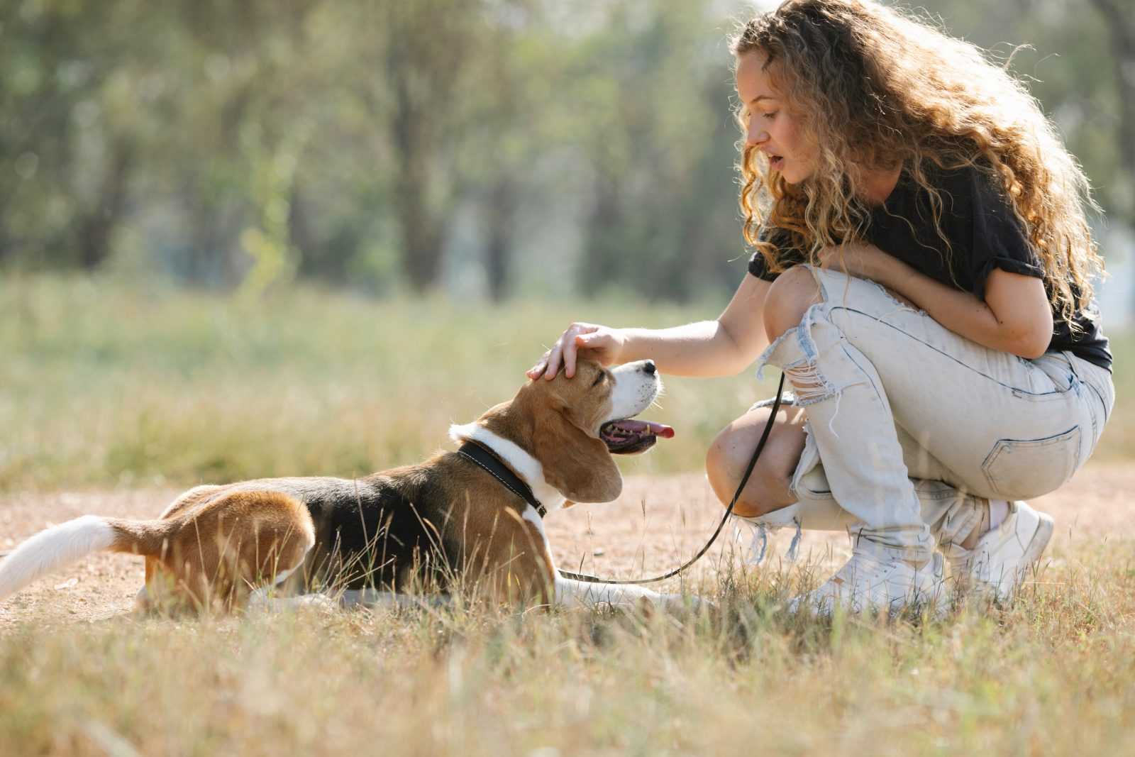 quelle formation éducateur canin choisir