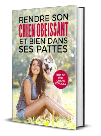 cover-ebook-education-canine guide éducation canine
