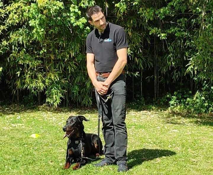 educateur canin Le Neubourg