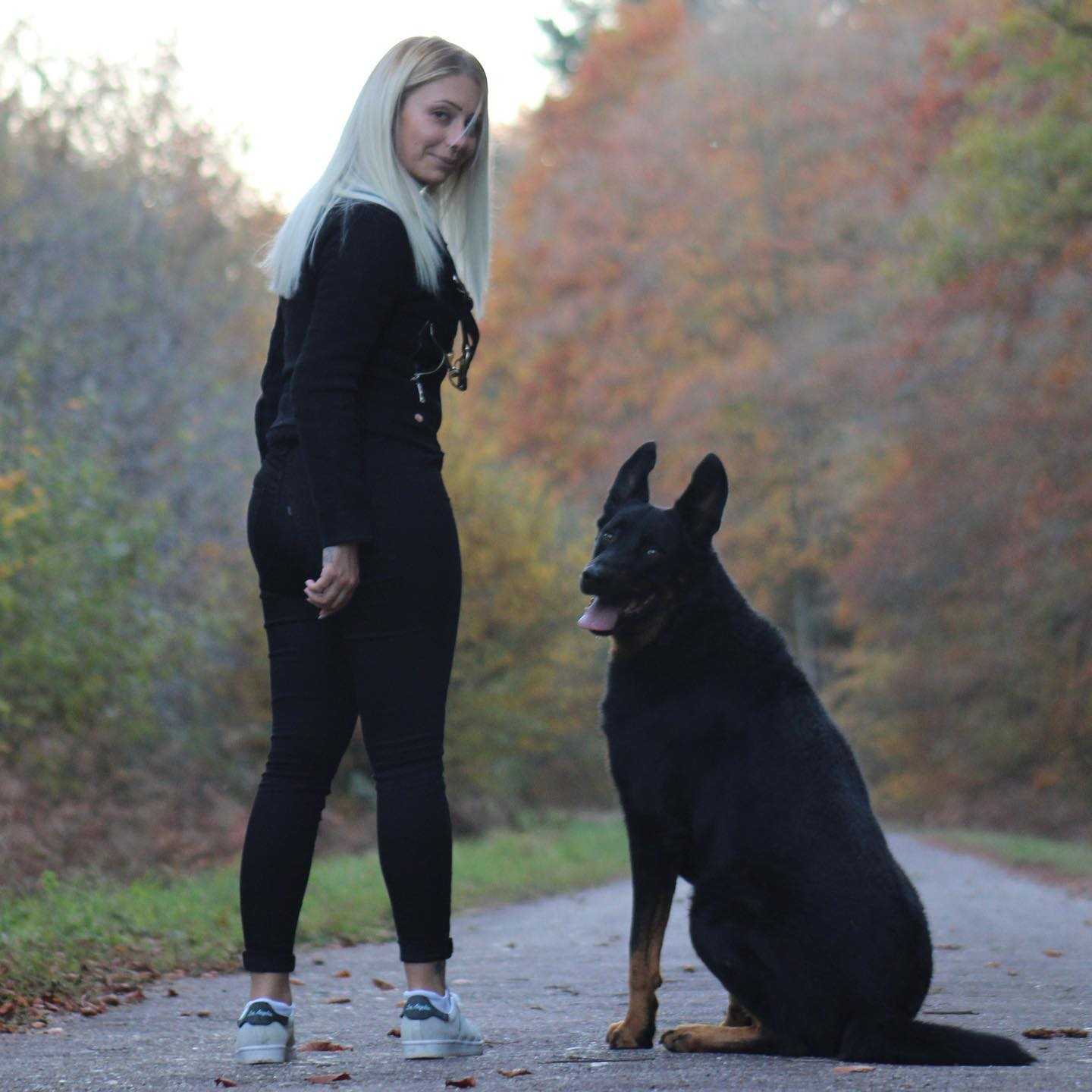 education canine lisieux
