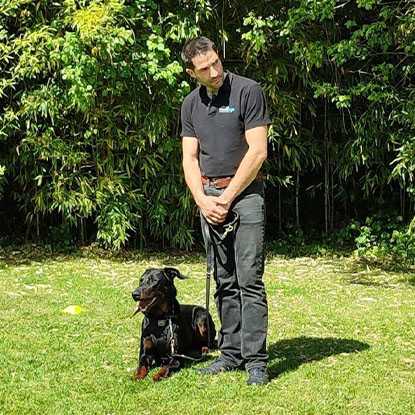 RDOGS_cours_a_domicile_x415