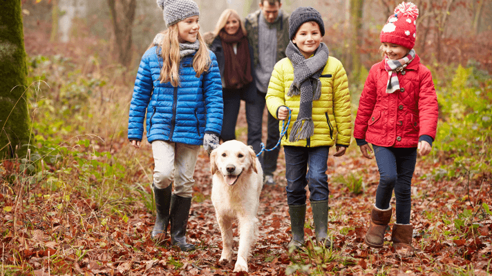 promener son chien
