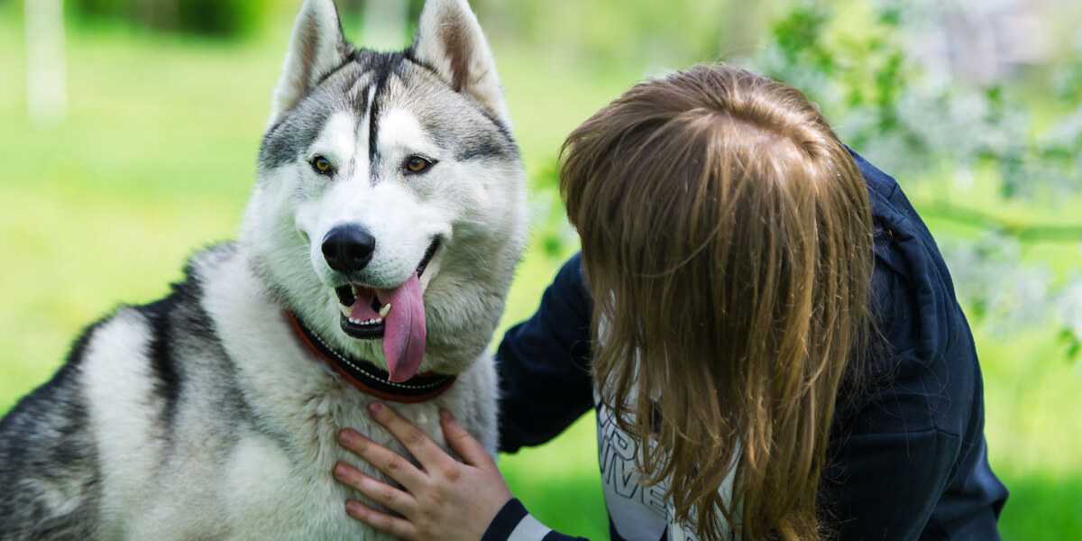 Éducateur canin à domicile à Pont-Audemer