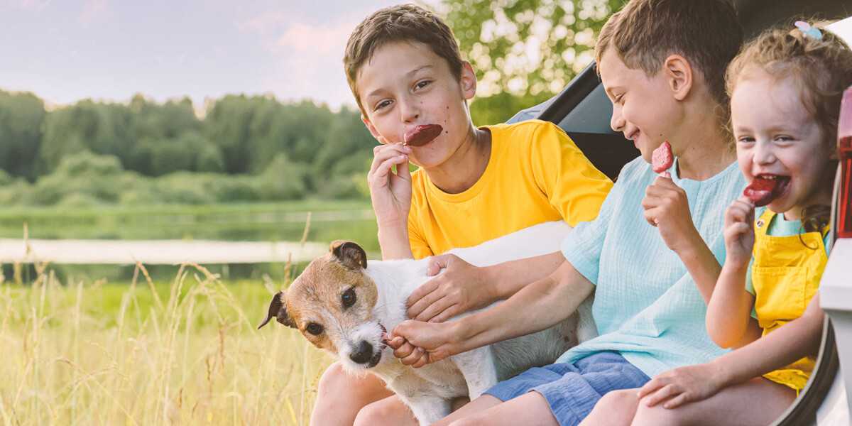 Morsures de chiens et enfants