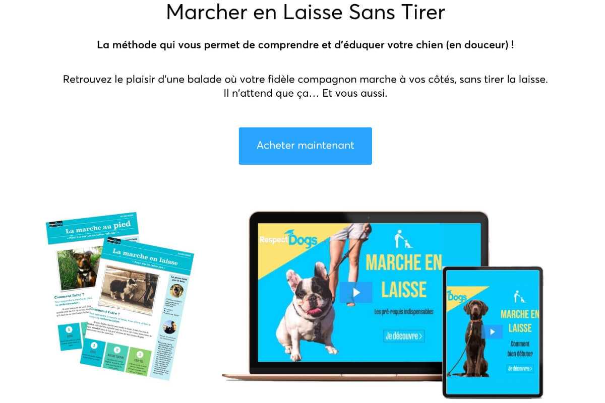 Formation marche en laisse sans tirer