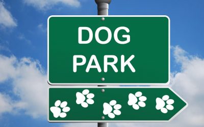 Parcs à chien Lyon : 9 meilleurs endroits pour promener votre chien à Lyon
