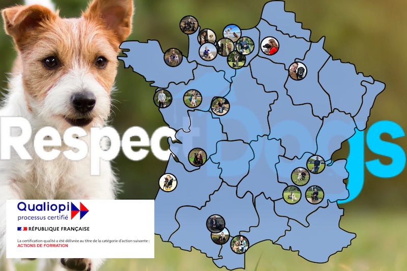 Attestation d'aptitude chien